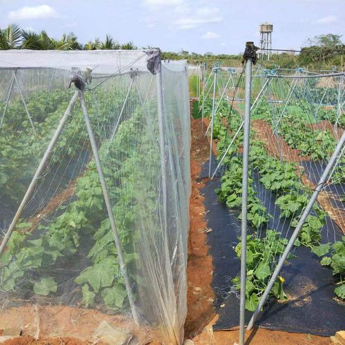 5 Years Lifespan White Agricultural Anti-insect Mesh HDPE Greenhouse Insect Net