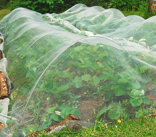 5 Years Lifespan White Agricultural Anti-insect Mesh HDPE Greenhouse Insect Net