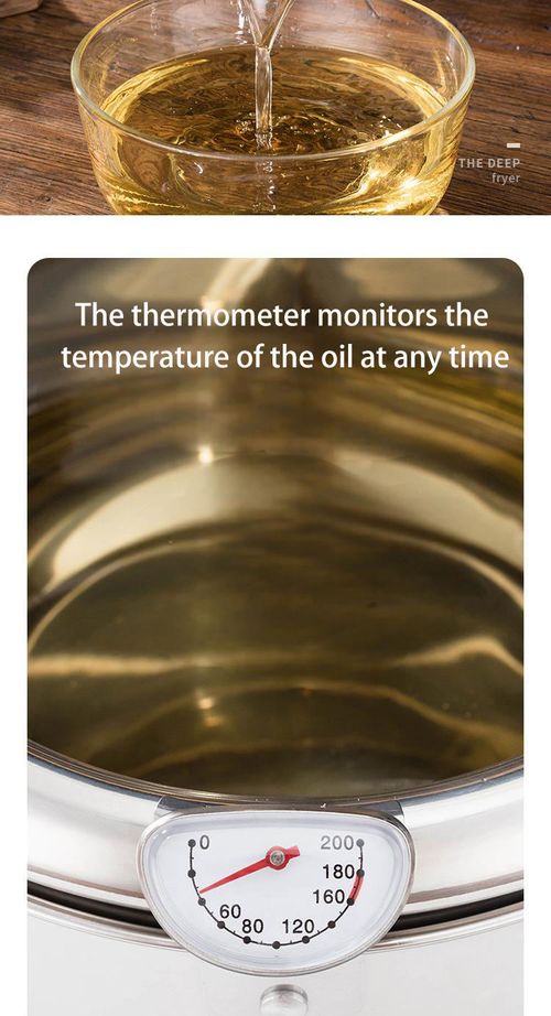Deep Fryer with Thermometer | 201 Stainless Steel Tempura Pot