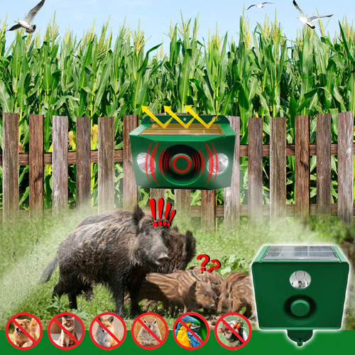 High volume solar warning lights to deter predators