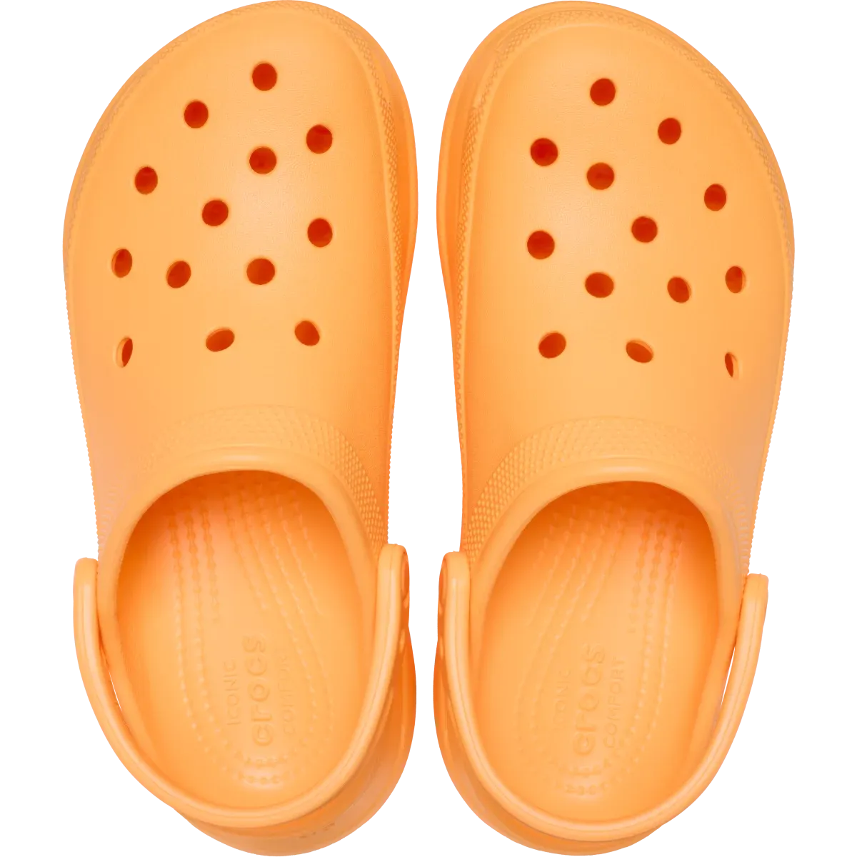 Womens Crocs Classic Bae Clog