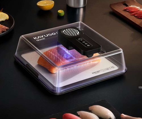 New Premium Type-C Charging Defrost Tray, Rapid Fresh-Keeping Plate for Frozen Meat & Seafood