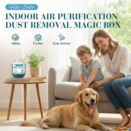 🔥 Limited-Time Pre-Sale⏰Indoor Air Purification Dust Removal Magic Box🏠🌿