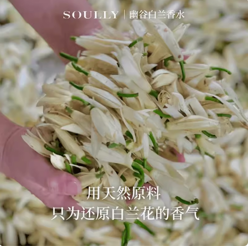 SOULLY幽谷白蘭50ml正宗高還原黃角蘭白玉蘭緬桂白蘭花女士淡香水