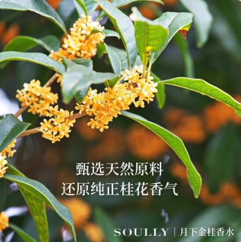 Soully桂花香水月下金桂50ml高還原桂花女士香水清新淡香花香