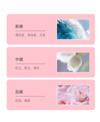 ATD深情馥郁逐夢香水清新少女花果香浪漫高階禮盒Amtn