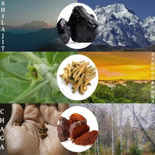 🖤 ​​BIYODÉ – Pure Himalayan Shiraz Gold Gummies 500mg  🌄 Pure Himalayan energy, deliciously presented