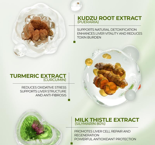 Milk thistle capsules are an adult liver detox supplement.（ Shipping from Accra + Cash on Delivery）