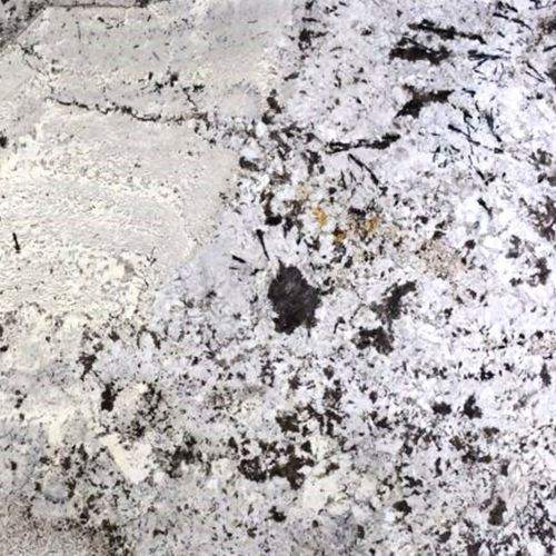 DELICATUS WHITE GRANITE  Bordeaux	Gironde	Nouvelle-Aquitaine