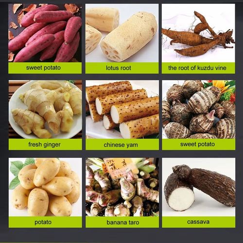 （Crushing and starch separation in one&gasoline engine） Cassava Residue Slurry Separator