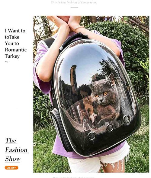 Pet Backpack