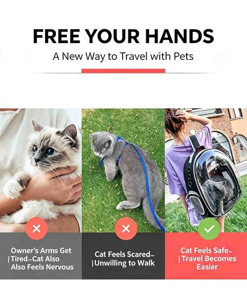 Pet Backpack