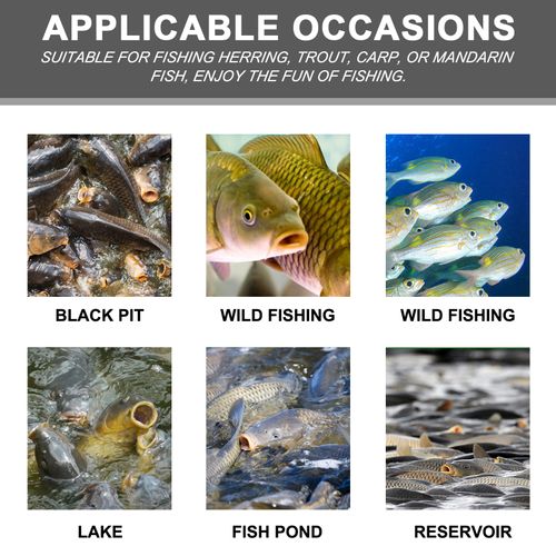 Yegbong Corn Fish Bait Reservoir Fish Bait Portable Fish Attractant