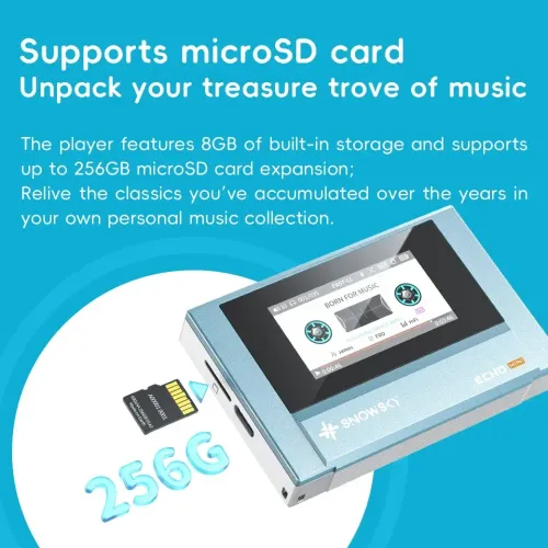 FiiO Snowsky ECHO Mini USB FM Function WAV Lossless Mini HiFi Wireless Bluetooth MP3 Walkman 15 Hours Play Pure Music Player
