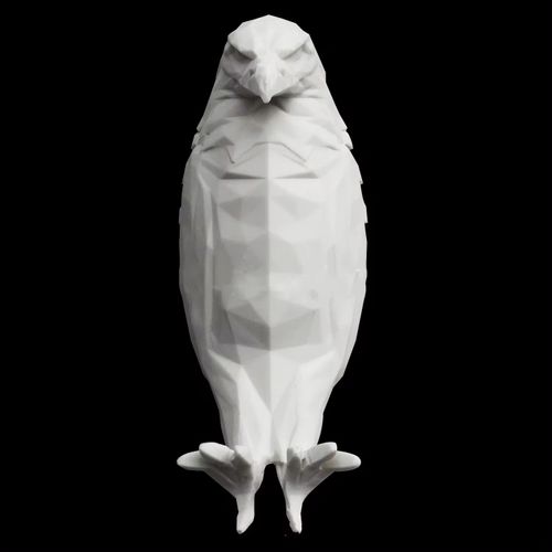 Modern Creative Eagle Shape Projector Atmospheric Wall Sconce 3D Printed Body Animal Lighting Bird Wall Sconce