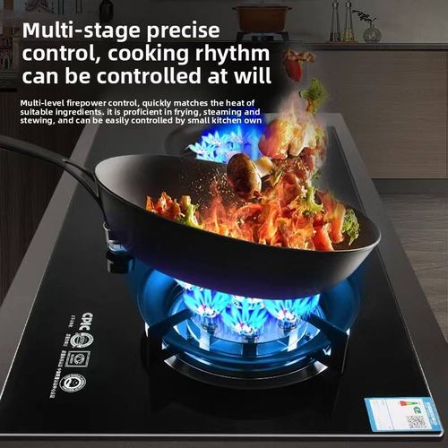 Modern Kitchen Countertop LPG Dual-Burner Gas Stove