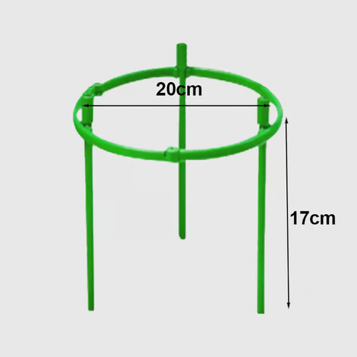 Removable plant stand support stakes for plants and flowers and fruits