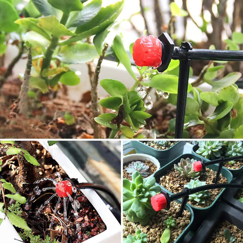 🔥200PCS🔥Adjustable Irrigation Drippers