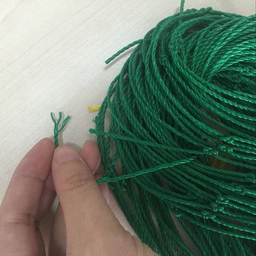 Durable and wear-resisting Plant Climbing Net made of PE material, designed to support plant growth in agriculture and gardening. Customizable colors and hole sizes enhance versatility for vegetable and fruit cultivation. Long-lasting fine toughness ensures reliable performance.Dimensions: 1.8m x 1.8m