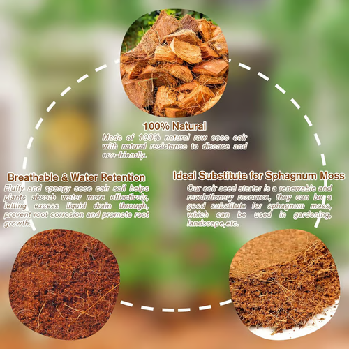 🌱Premium Organic Coconut Coir Bricks for Plants (Collected from Pacific island countries)