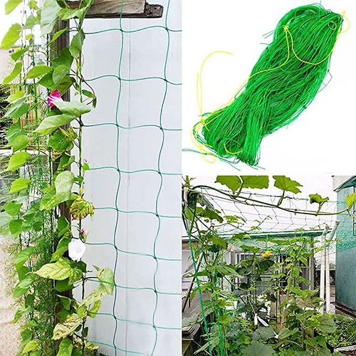 Durable and wear-resisting Plant Climbing Net made of PE material, designed to support plant growth in agriculture and gardening. Customizable colors and hole sizes enhance versatility for vegetable and fruit cultivation. Long-lasting fine toughness ensures reliable performance.Dimensions: 1.8m x 1.8m
