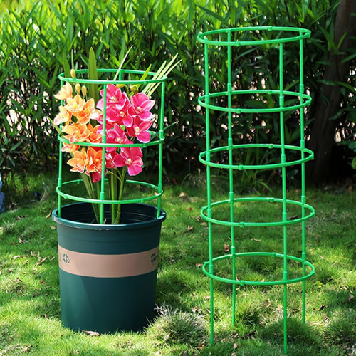 Removable plant stand support stakes for plants and flowers and fruits