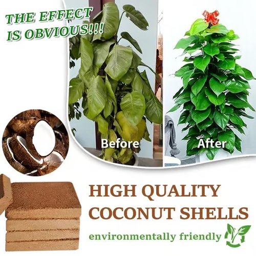 🌱Premium Organic Coconut Coir Bricks for Plants (Collected from Pacific island countries)