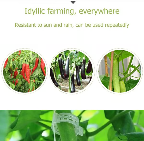 🔥Plant Support Clips（100pcs）
