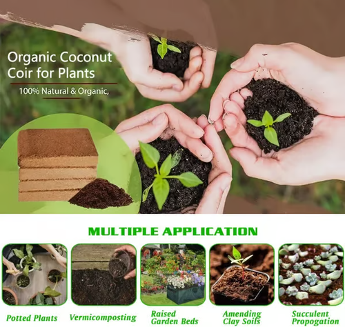 🌱Premium Organic Coconut Coir Bricks for Plants (Collected from Pacific island countries)