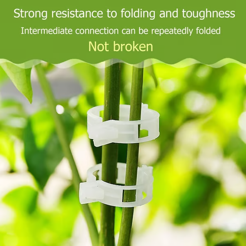🔥Plant Support Clips（100pcs）