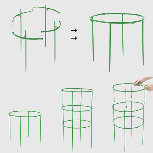 Removable plant stand support stakes for plants and flowers and fruits