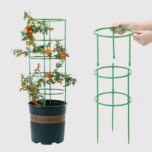 Removable plant stand support stakes for plants and flowers and fruits