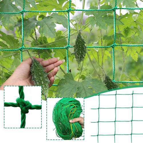 Durable and wear-resisting Plant Climbing Net made of PE material, designed to support plant growth in agriculture and gardening. Customizable colors and hole sizes enhance versatility for vegetable and fruit cultivation. Long-lasting fine toughness ensures reliable performance.Dimensions: 1.8m x 1.8m