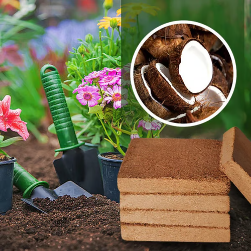 🌱Premium Organic Coconut Coir Bricks for Plants (Collected from Pacific island countries)