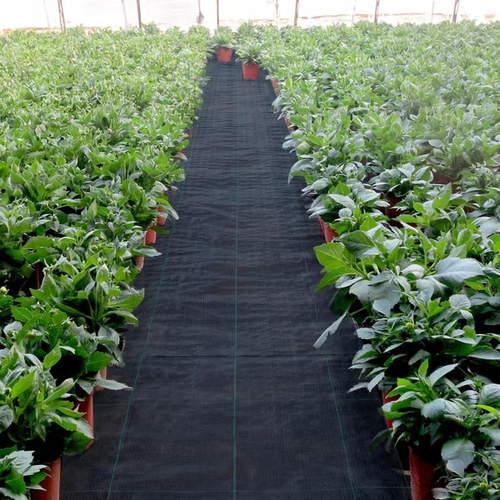 🔥Premium Woven Weed Barrier（Size: 0.5*5m）