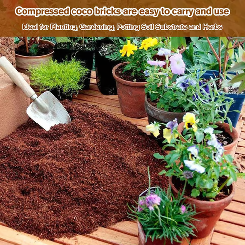 🌱Premium Organic Coconut Coir Bricks for Plants (Collected from Pacific island countries)