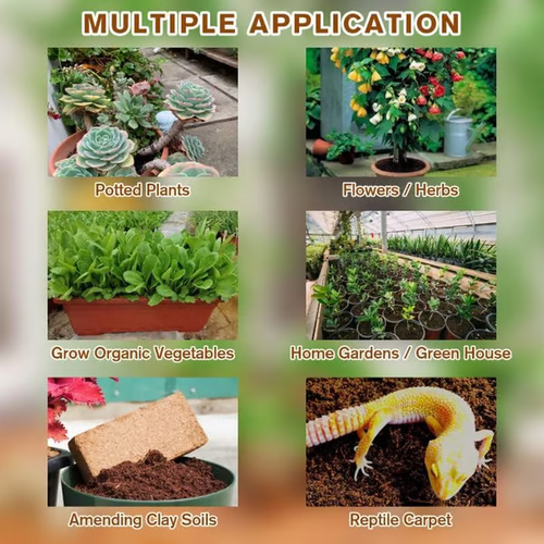 🌱Premium Organic Coconut Coir Bricks for Plants (Collected from Pacific island countries)