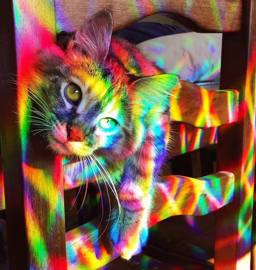 🌈 Rainbow Window Sticker