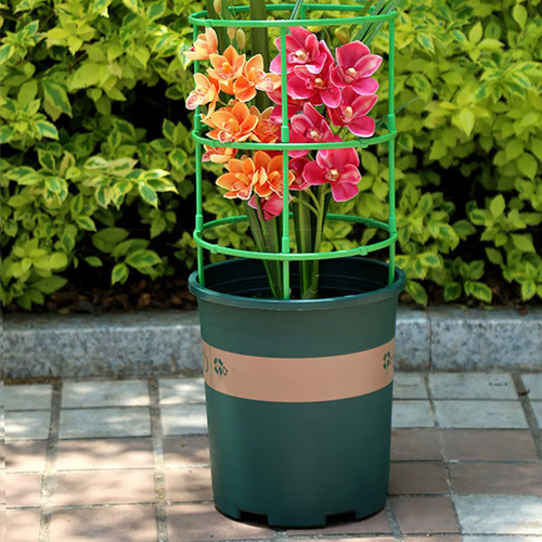 Removable plant stand support stakes for plants and flowers and fruits