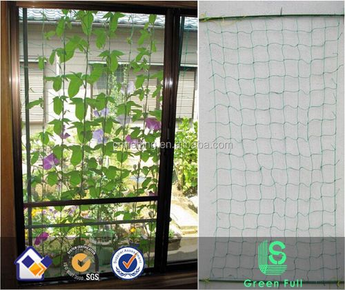 Durable and wear-resisting Plant Climbing Net made of PE material, designed to support plant growth in agriculture and gardening. Customizable colors and hole sizes enhance versatility for vegetable and fruit cultivation. Long-lasting fine toughness ensures reliable performance.Dimensions: 1.8m x 1.8m