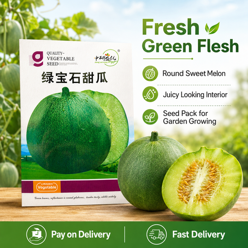 Buy 1 Get 10 Green Gem Sweet Melon Seeds, 50 Seeds per Pack, Japanese Green Melon Seeds for Home Garden, Vegetable Farm and Outdoor Planting, COD Free Shipping and Pay on Delivery
