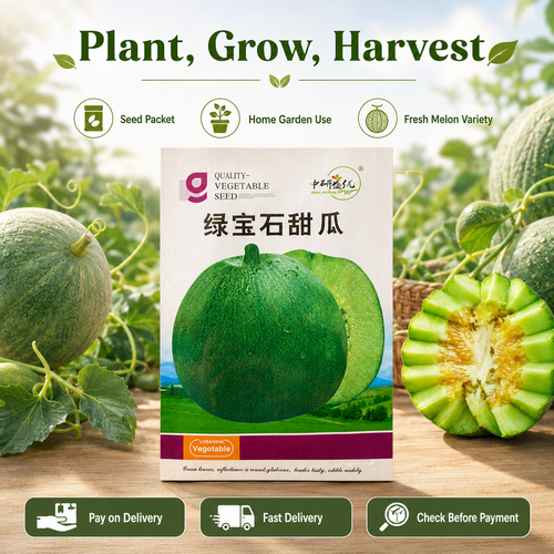 Buy 1 Get 10 Green Gem Sweet Melon Seeds, 50 Seeds per Pack, Japanese Green Melon Seeds for Home Garden, Vegetable Farm and Outdoor Planting, COD Free Shipping and Pay on Delivery