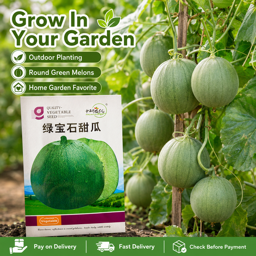Buy 1 Get 10 Green Gem Sweet Melon Seeds, 50 Seeds per Pack, Japanese Green Melon Seeds for Home Garden, Vegetable Farm and Outdoor Planting, COD Free Shipping and Pay on Delivery