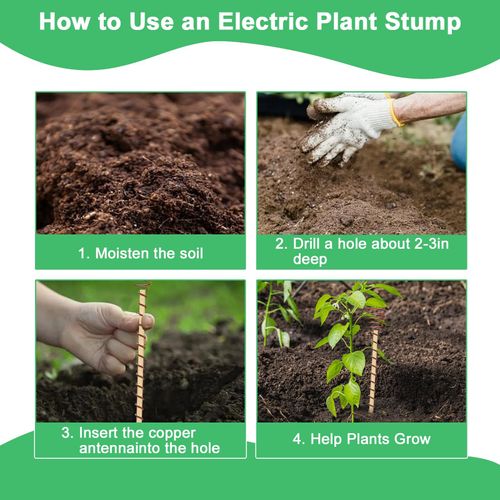 6PCS Electroculture Plant Stakes with Copper Coil Wire, Wooden Garden Support Rods for Indoor and Outdoor Gardening, Potted Plants, Vegetables and Flowers, COD Free Shipping and Pay on Delivery