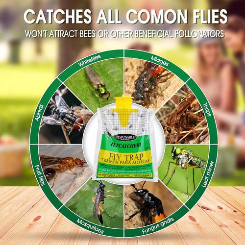 Disposable fly trap bags for outdoor use, mess-free design to catch flies efficiently, ideal for yards, gardens, farms and horse ranches, free shipping and cash on delivery.