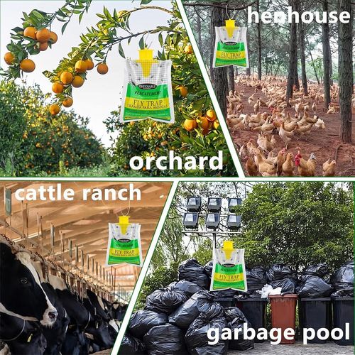 Disposable fly trap bags for outdoor use, mess-free design to catch flies efficiently, ideal for yards, gardens, farms and horse ranches, free shipping and cash on delivery.