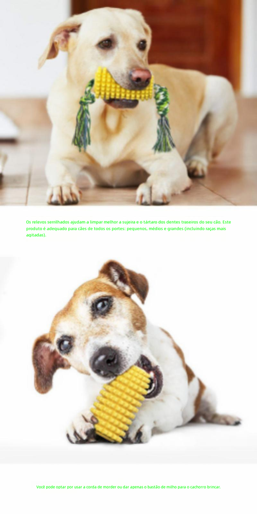 Brinquedo para Pets: Milho Sonoro, Mordedor para Limpeza Dental, Escova de Cachorro e Corda de Algodão em TPR, Ideal para Cães e Gatos