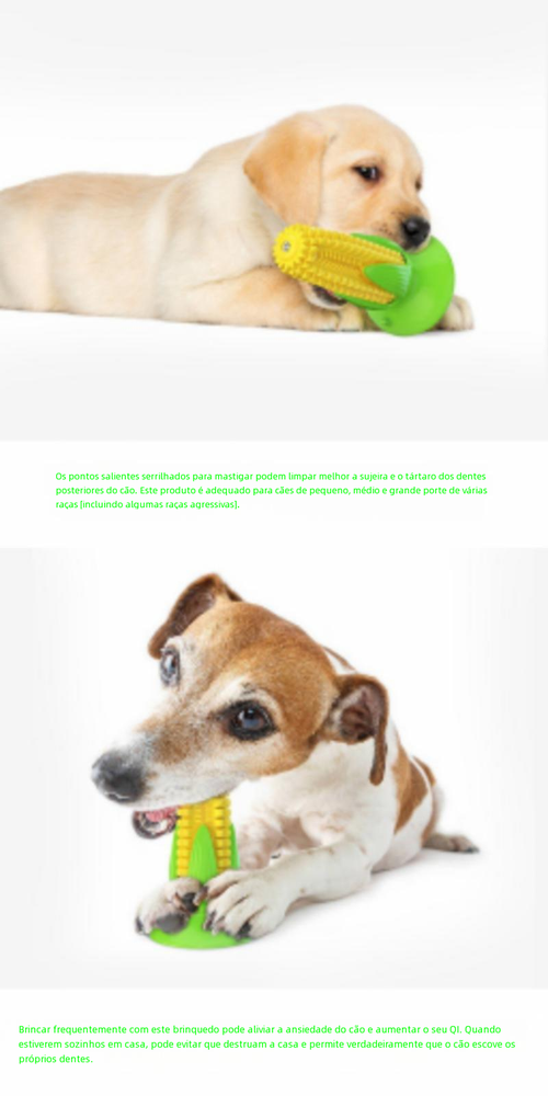 Brinquedo para Pets: Milho Sonoro, Mordedor para Limpeza Dental, Escova de Cachorro e Corda de Algodão em TPR, Ideal para Cães e Gatos