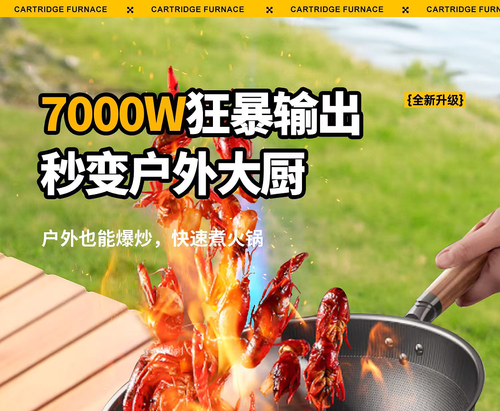 Portable Windproof Infrared Camping Gas Stove