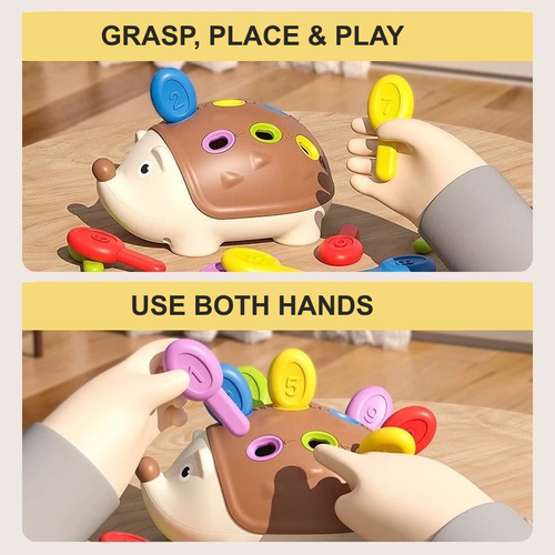 Hedgehog Number and Colour Peg Toy